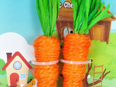 A &E Cages Nibbles Small Animal Loofah Chew Toy Carrots; 1ea Online