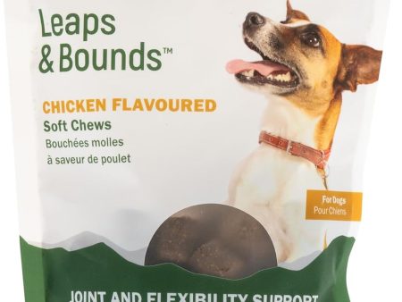 Sierrasil Leaps and Bounds™ Soft Chews for Dogs (100 Bites) Sale