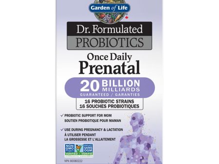 Garden of Life Dr. Formulated Probiotics Once Daily Prenatal (30 VegCaps) Online Hot Sale